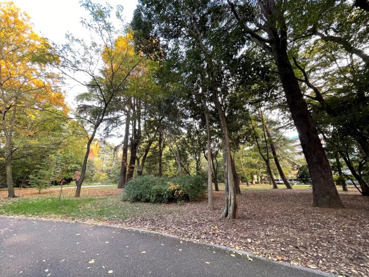 🌳 江古田の森公園(에고타노모리 공원) 이미지 1